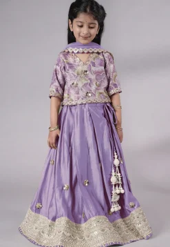 Embroidered Chanderi Silk Lehenga in Purple