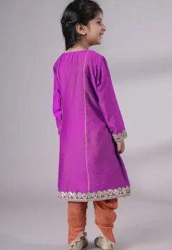 Embroidered Chanderi Silk Punjabi Suit in Magenta