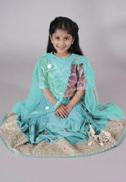 Embroidered Chanderi Silk Lehenga in Sky Blue