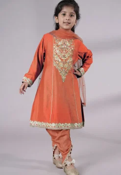 Embroidered Chanderi Silk Punjabi Suit in Peach