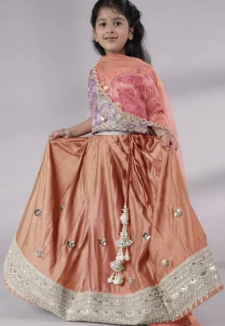 Embroidered Chanderi Silk Lehenga in Peach