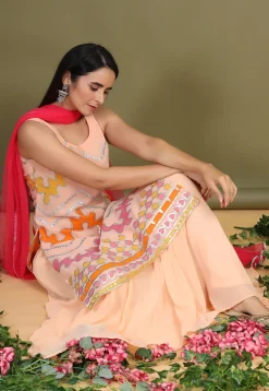 Embroidered Chiffon Lehenga in Light Peach