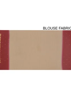 Embroidered Chiffon Saree in Beige