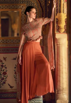 Embroidered Chinon Silk Crop Top in Orange