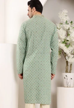 Embroidered Cotton Kurta in Dusty Green