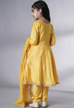 Embroidered Cotton Silk A Line Suit in Yellow