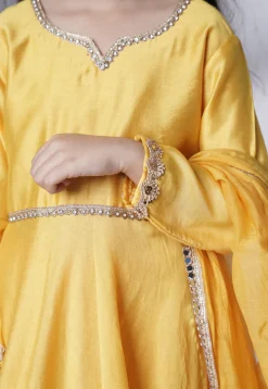 Embroidered Cotton Silk A Line Suit in Yellow
