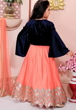 Embroidered Cotton Silk Lehenga in Peach