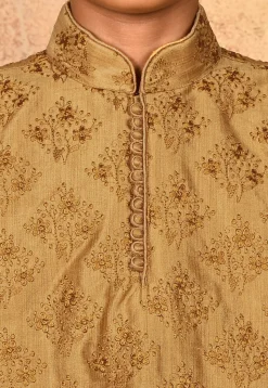 Embroidered Dupion Silk Kurta in Dark Beige