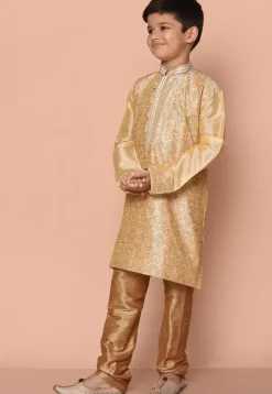 Embroidered Dupion Silk Kurta Set in Fawn