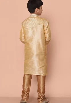 Embroidered Dupion Silk Kurta Set in Fawn