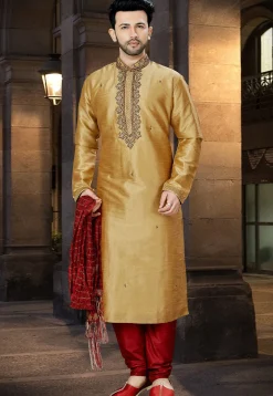 Embroidered Dupion Silk Kurta Pajama in Beige