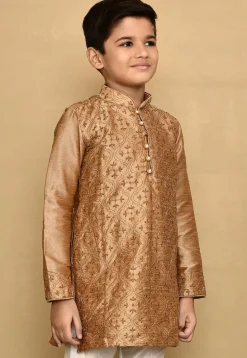 Embroidered Dupion Silk Kurta in Dark Beige