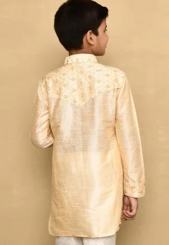 Embroidered Dupion Silk Kurta in Beige