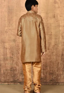 Embroidered Dupion Silk Kurta Set in Dark Beige