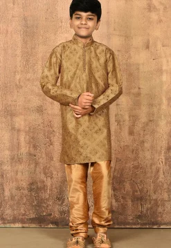 Embroidered Dupion Silk Kurta Set in Dark Beige