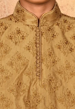 Embroidered Dupion Silk Kurta Set in Dark Beige