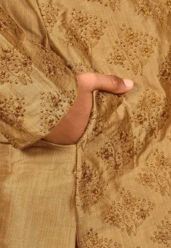 Embroidered Dupion Silk Kurta Set in Dark Beige