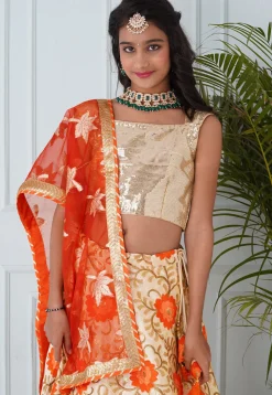 Embroidered Dupion Silk Lehenga in Beige