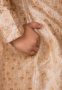 Embroidered Dupion Silk Sherwani in Beige
