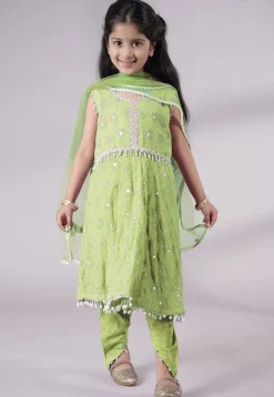 Embroidered Georgette A Line Suit in Light Green
