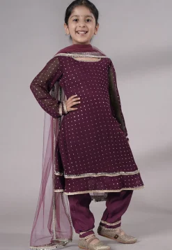 Embroidered Georgette A Line Suit in Wine