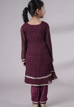 Embroidered Georgette A Line Suit in Wine