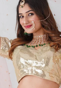 Embroidered   Georgette Blouse in Beige