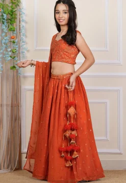 Embroidered Georgette Choli in Orange