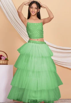 Embroidered Georgette Crop Top Set in Pastel Green