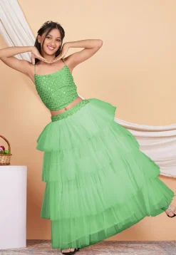Embroidered Georgette Crop Top Set in Pastel Green