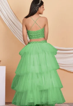 Embroidered Georgette Crop Top Set in Pastel Green