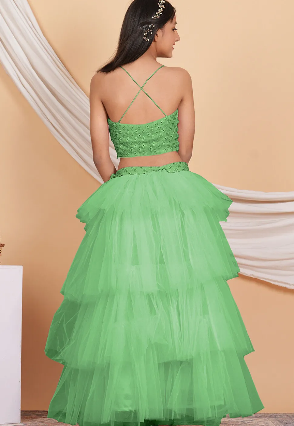 Embroidered Georgette Crop Top Set in Pastel Green