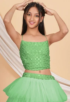 Embroidered Georgette Crop Top Set in Pastel Green