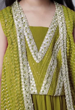 Embroidered Georgette Crop Top Set in Olive Green