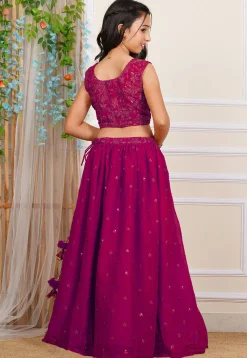 Embroidered Georgette Crop Top Set in Fuchsia