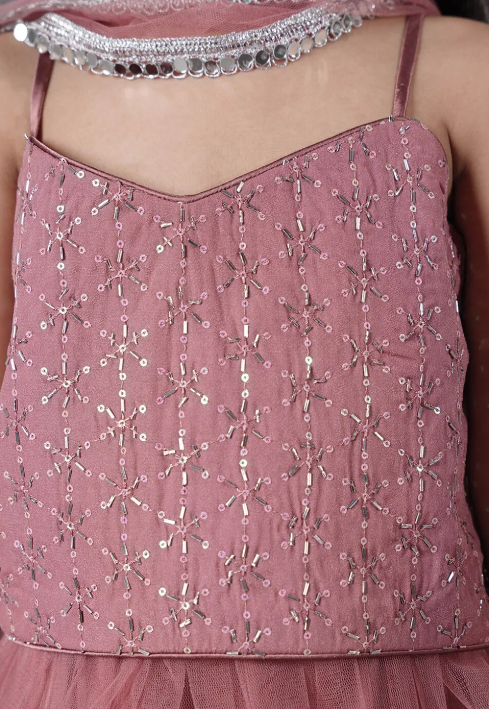 Embroidered Georgette Crop Top Set in Old Rose