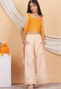 Embroidered Georgette Crop Top Set in Orange