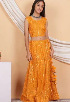 Embroidered Georgette Crop Top Set in Orange
