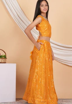 Embroidered Georgette Crop Top Set in Orange