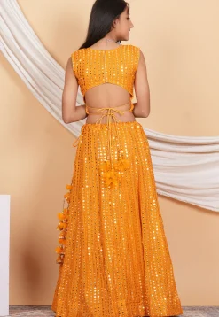 Embroidered Georgette Crop Top Set in Orange