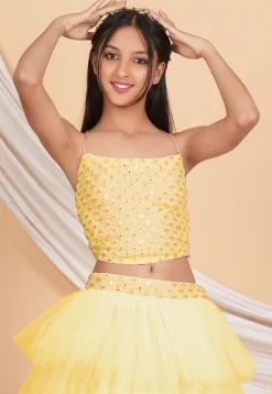 Embroidered Georgette Crop Top Set in Pastel Yellow