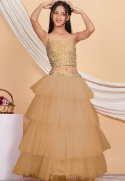 Embroidered Georgette Crop Top Set in Beige