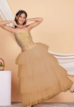 Embroidered Georgette Crop Top Set in Beige