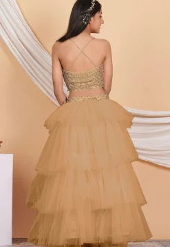 Embroidered Georgette Crop Top Set in Beige