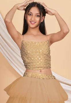 Embroidered Georgette Crop Top Set in Beige