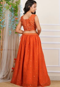 Embroidered Georgette Crop Top Set in Orange