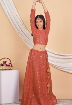 Embroidered Georgette Crop Top Set in Dark Peach