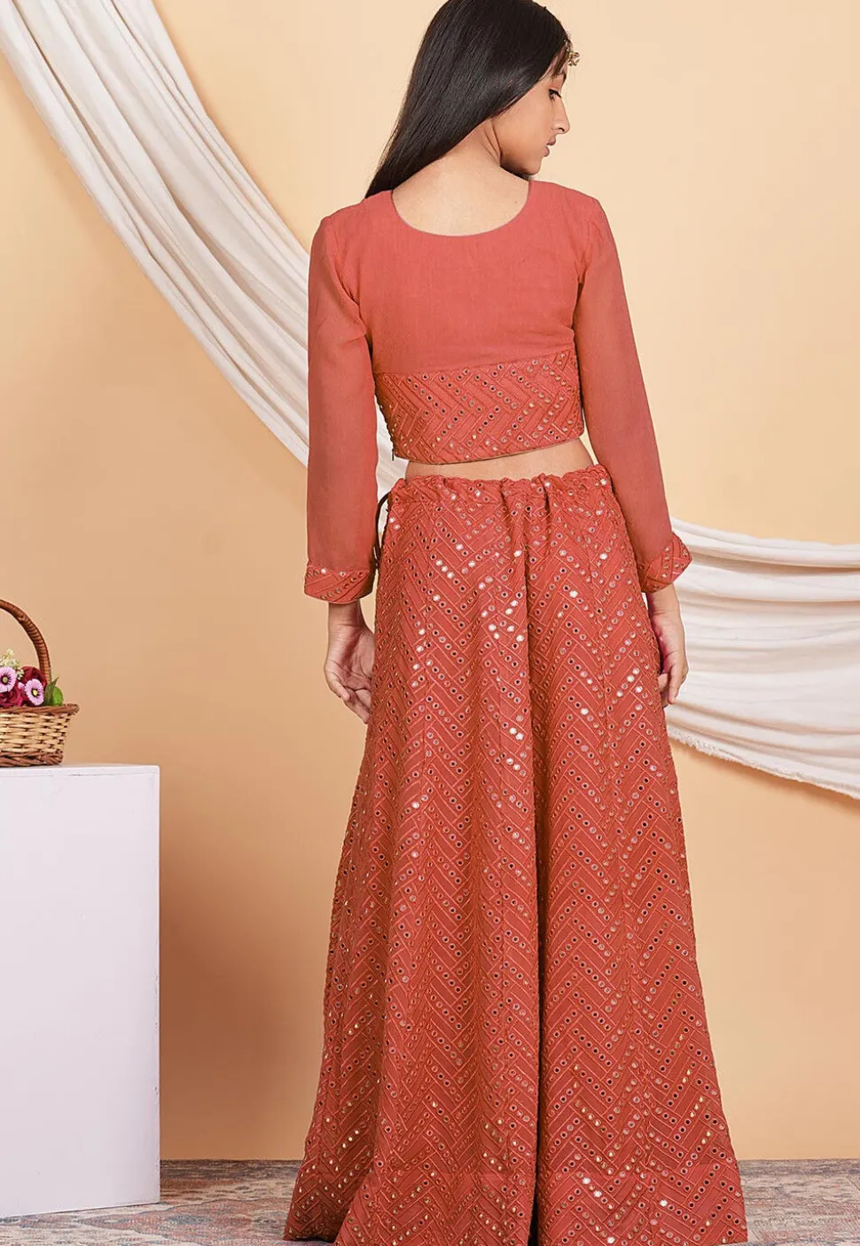 Embroidered Georgette Crop Top Set in Dark Peach