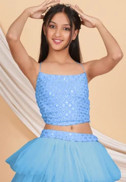 Embroidered Georgette Crop Top Set in Pastel Blue